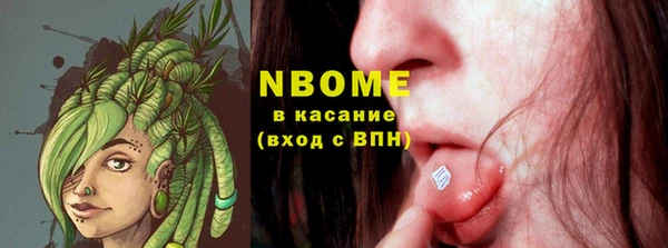 крисы Бородино
