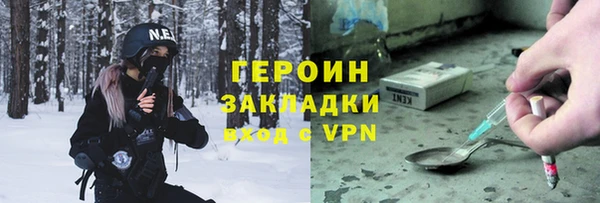 крисы Бородино
