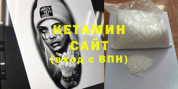 крисы Бородино