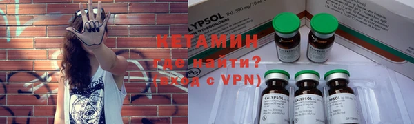 крисы Бородино