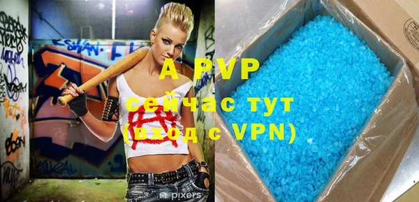 крисы Бородино