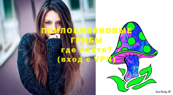 крисы Бородино