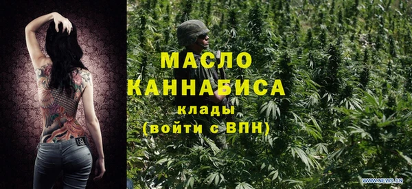 крисы Бородино
