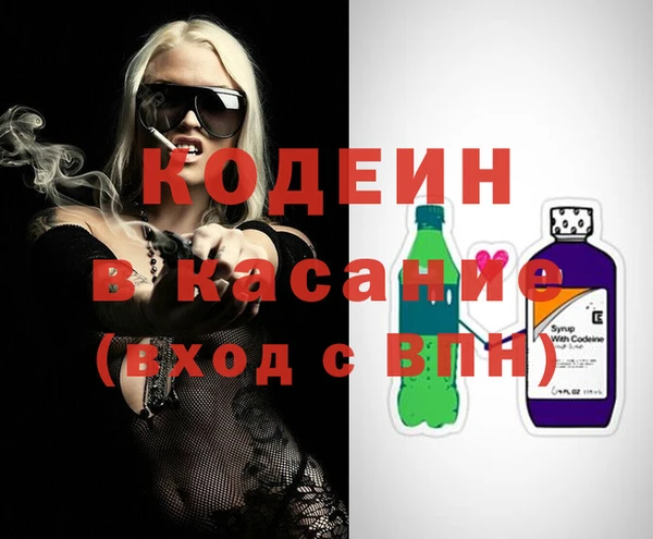 крисы Бородино