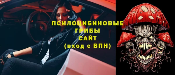 гидропоника Инта